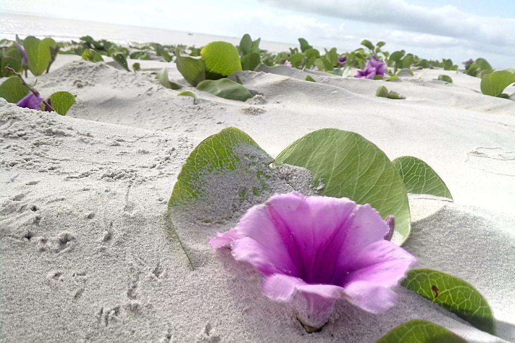 Pousada Taruma Mucuri Exteriér fotografie